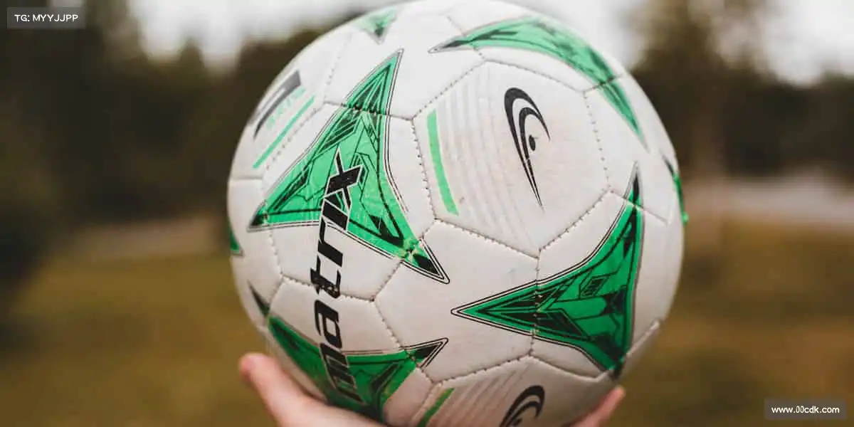 为什么选择我们